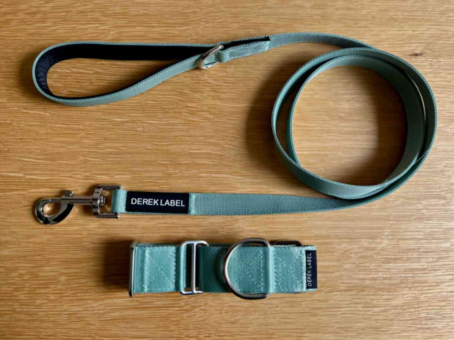 Green Martingale dog collar and matching green leash
