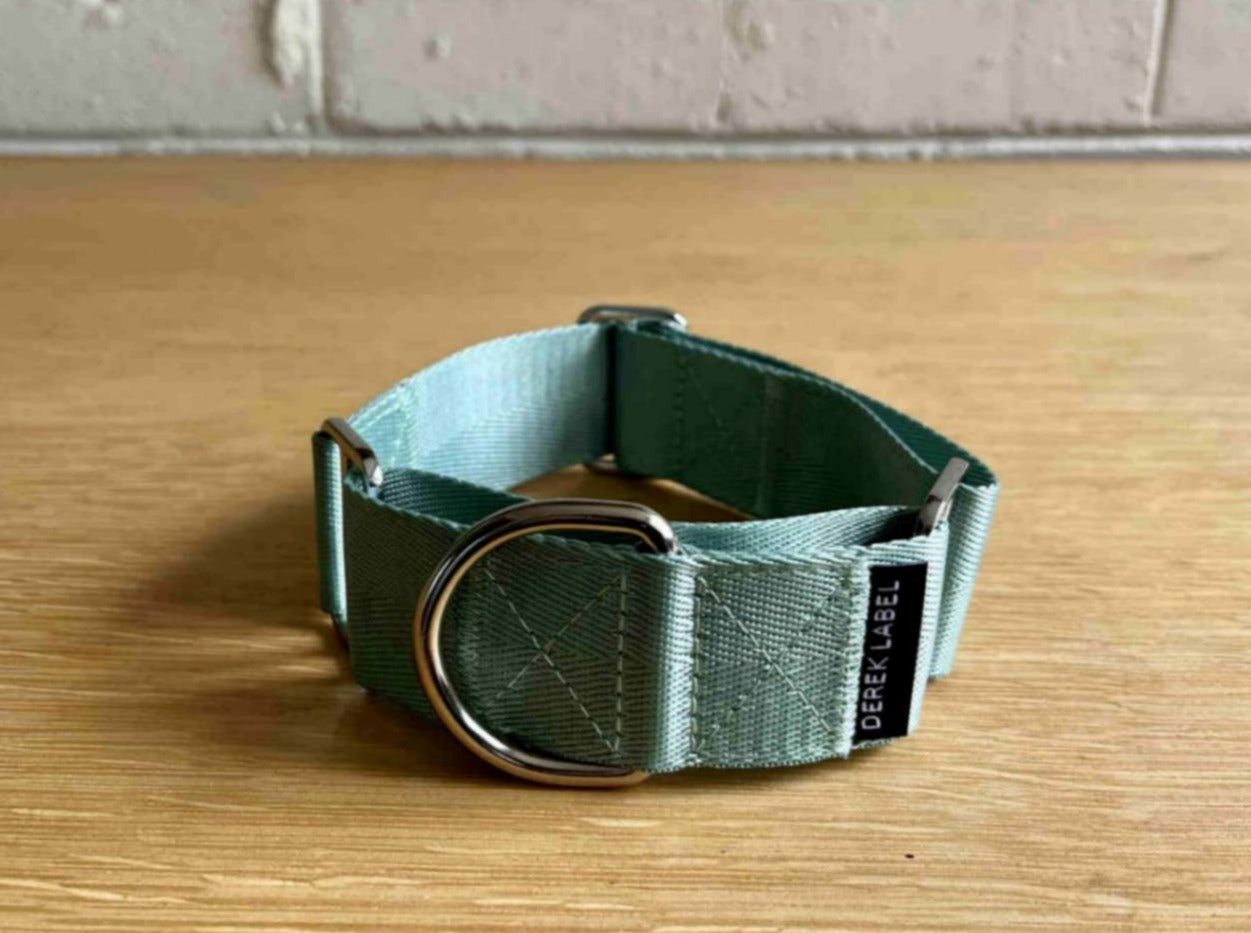 Light green Martingale dog collar