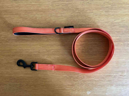 Orange Leash