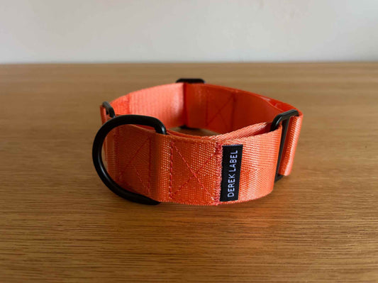 Orange Martingale Collar with Black Hardware