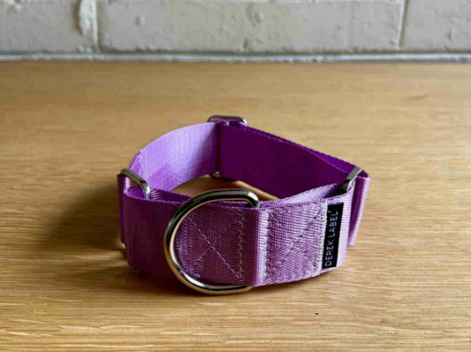 Purple Martingale dog collar