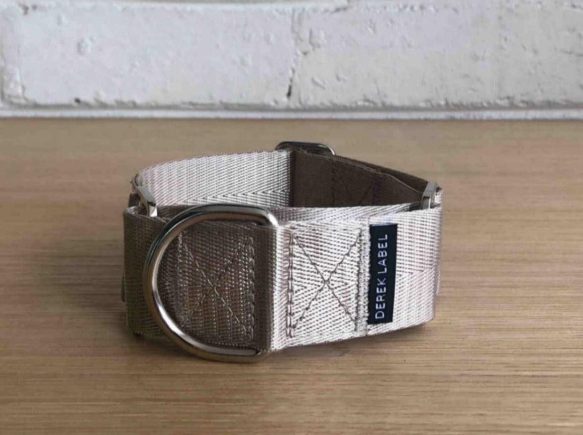 Champagne Martingale dog collar