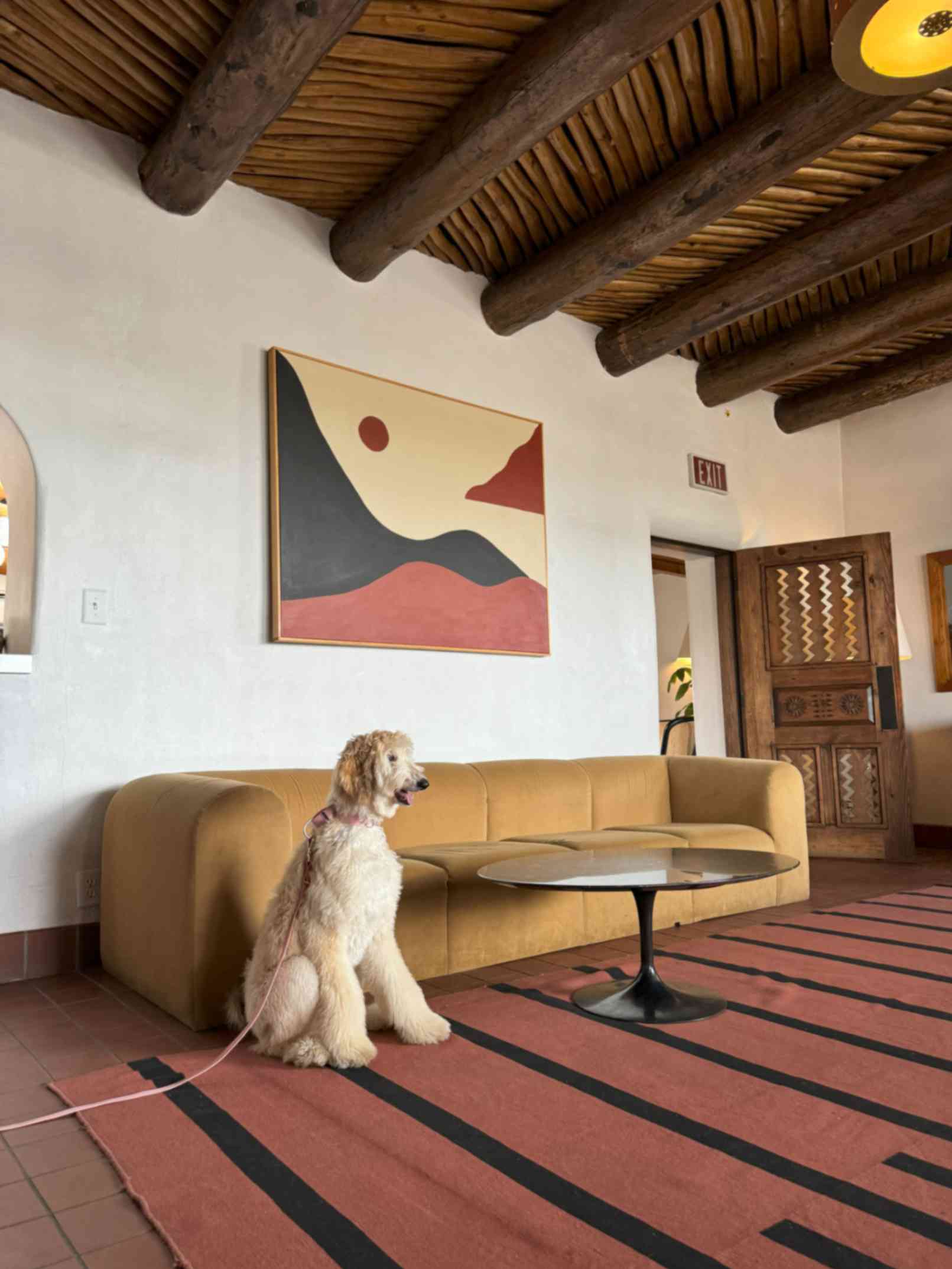 dog sitting in a room wearing pink collar and leash