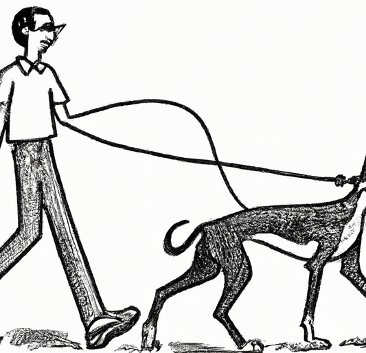 greeting card with dog walking owner