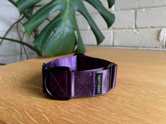 Violet Martingale dog collar
